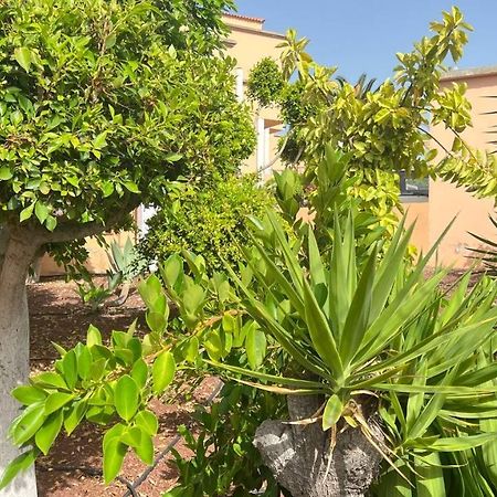 Ocean View Apartment In Orlando Costa Adeje  Bagian luar foto