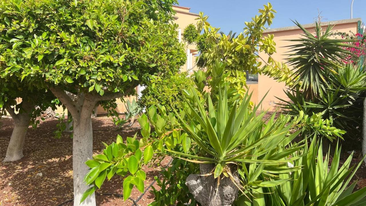 Ocean View Apartment In Orlando Costa Adeje  Bagian luar foto