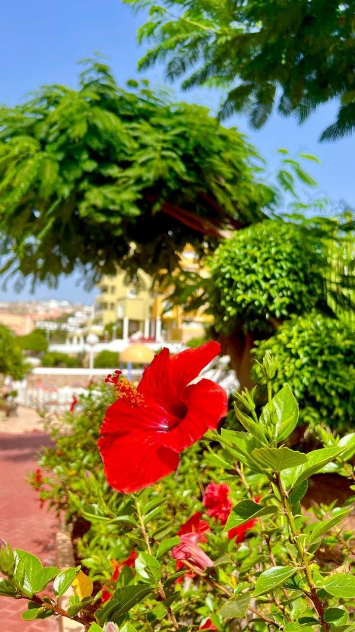 Ocean View Apartment In Orlando Costa Adeje  Bagian luar foto